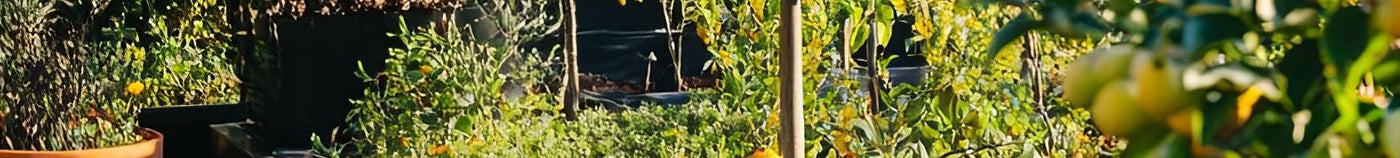 Balcon gourmand