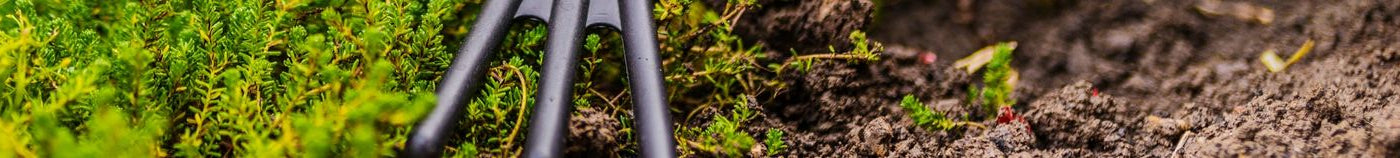 Potager selon la saison