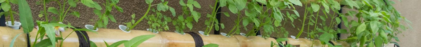 Potager vertical