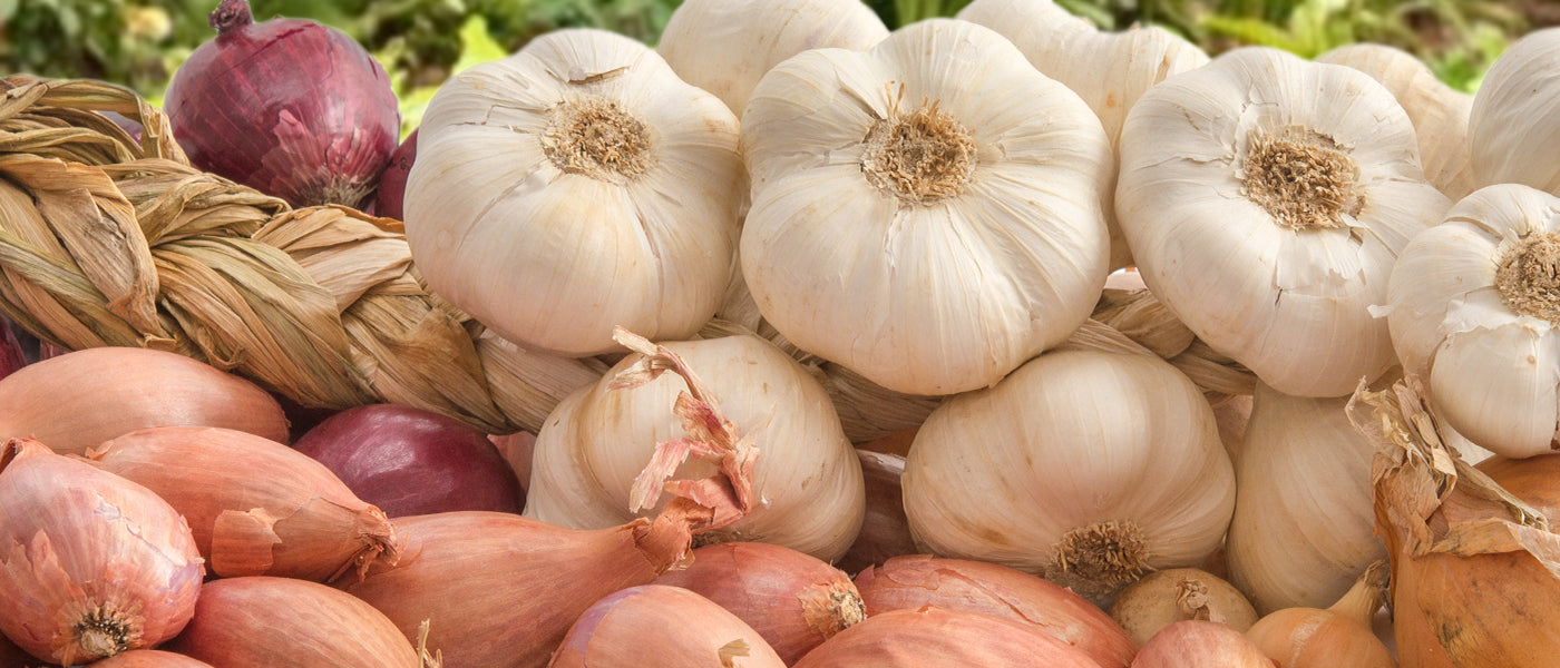Ail‚ Oignons et Echalotes