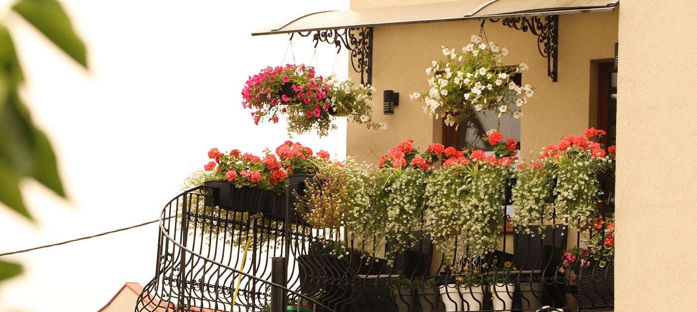 Balcon au sud