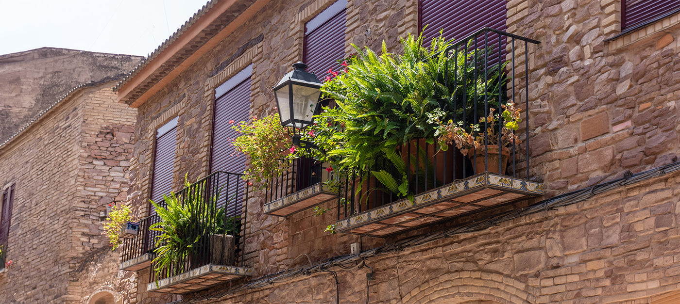 Balcon plantes persistantes