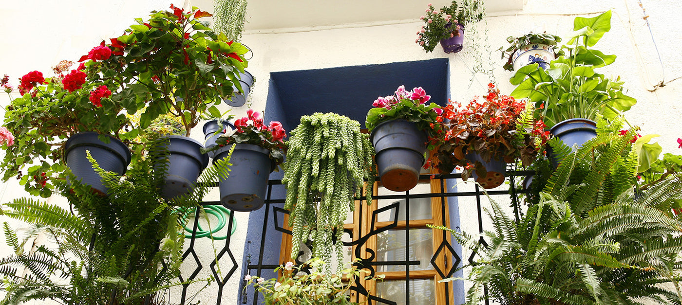 Balcon sans entretien