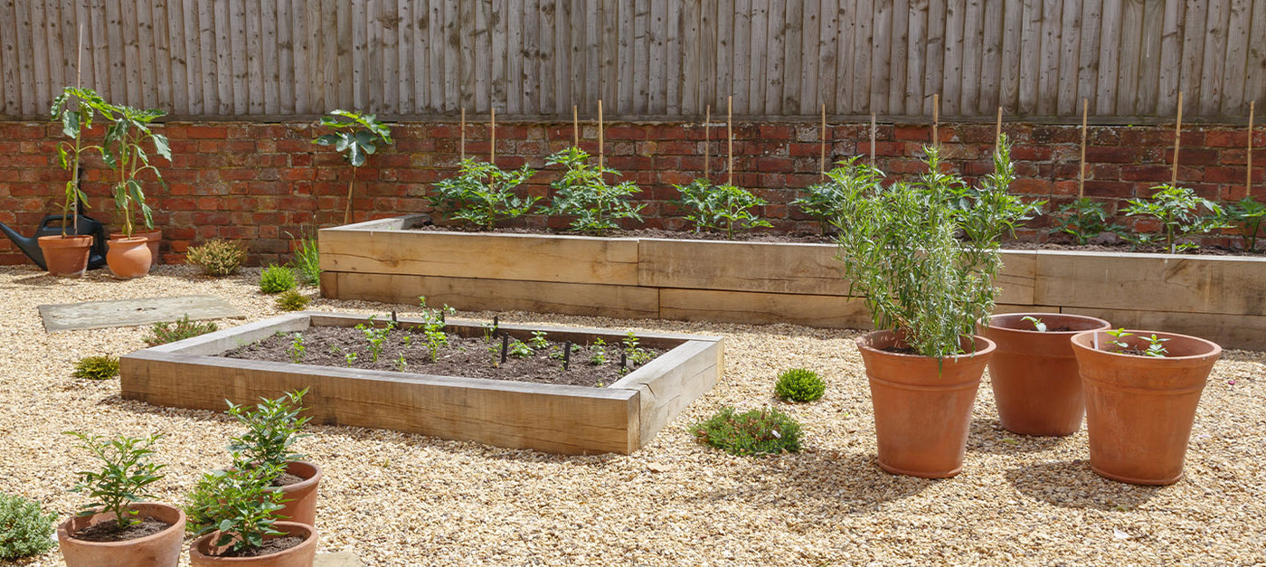 Potager sur une terrasse