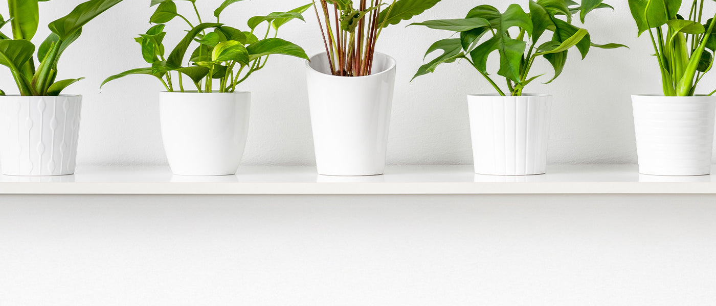 Pots vases suspensions et accessoires