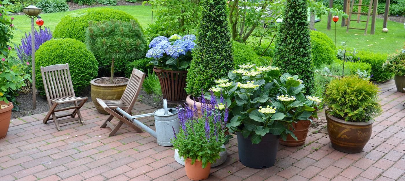 Terrasse parfumée