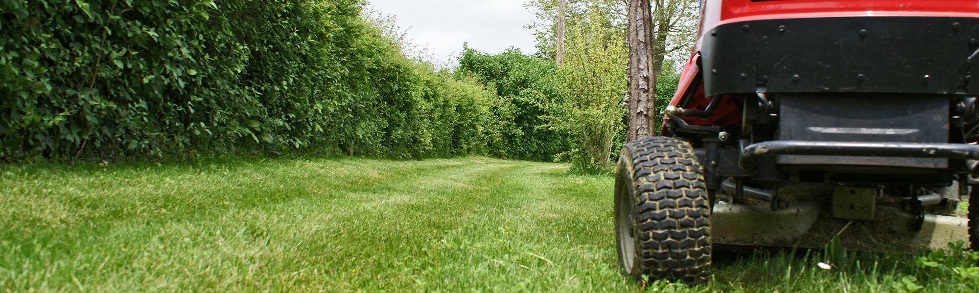 Tondeuse électrique