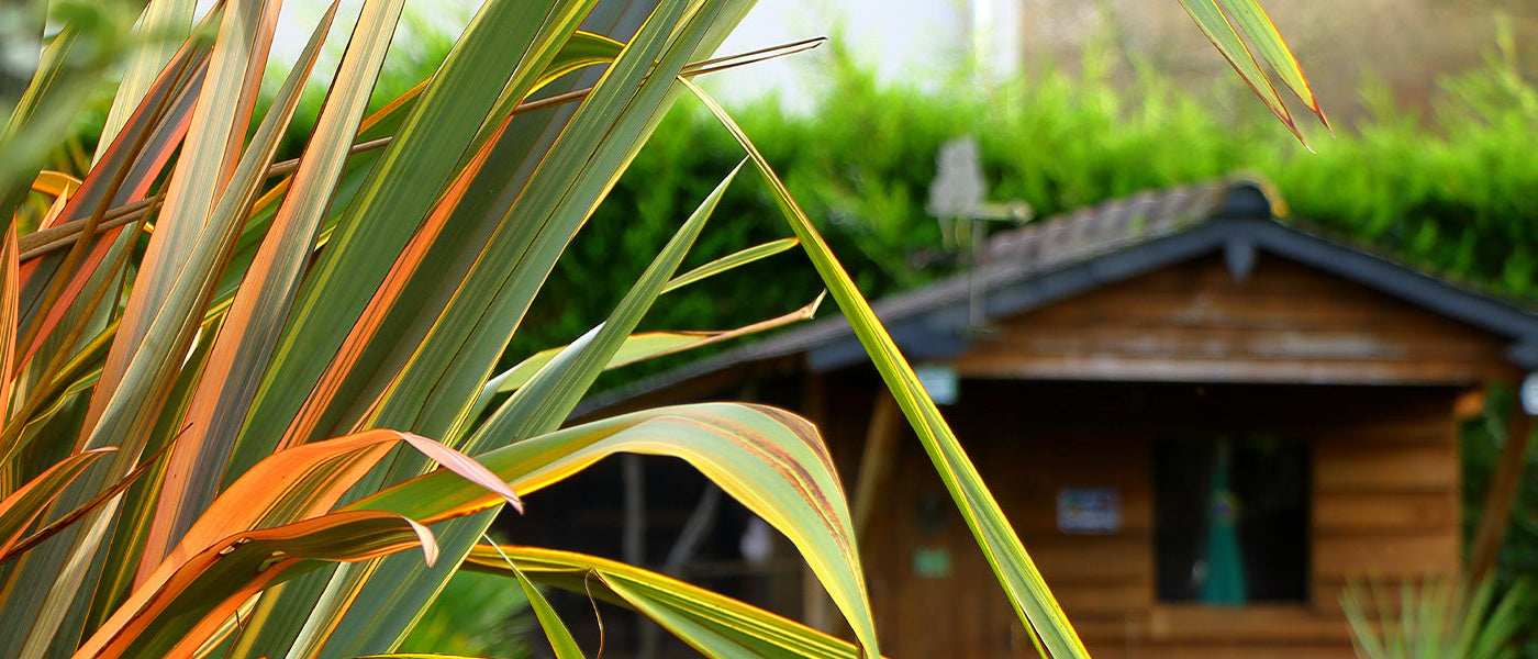 Abris de jardin et rangement