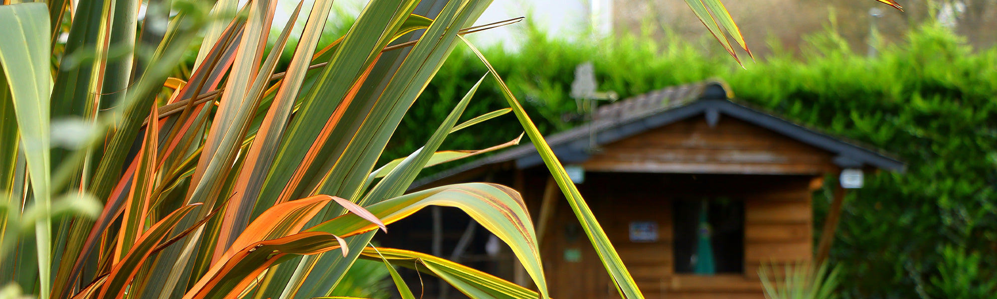 Abris de jardin et rangement