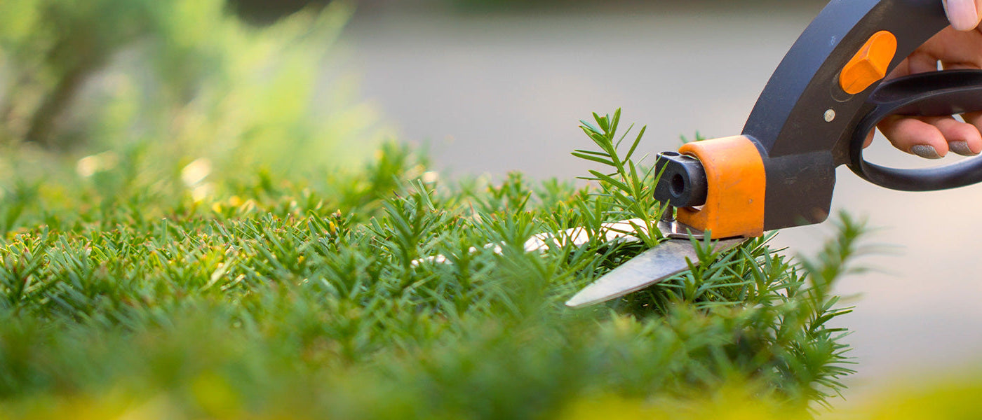 Accessoires pour jardiner