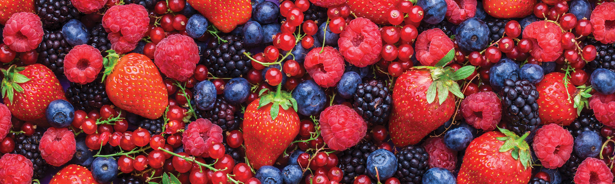 Fruits rouges