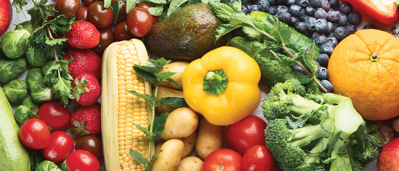 Graines d'aromatiques Bio