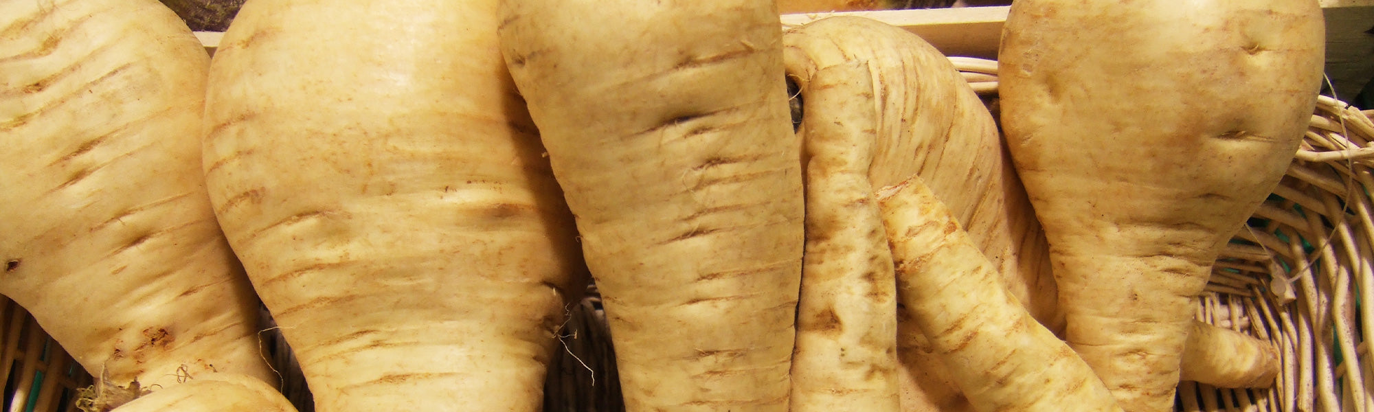 Panais