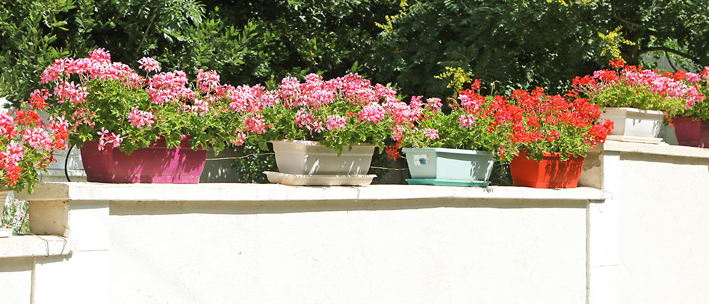Jardinières et balconnières