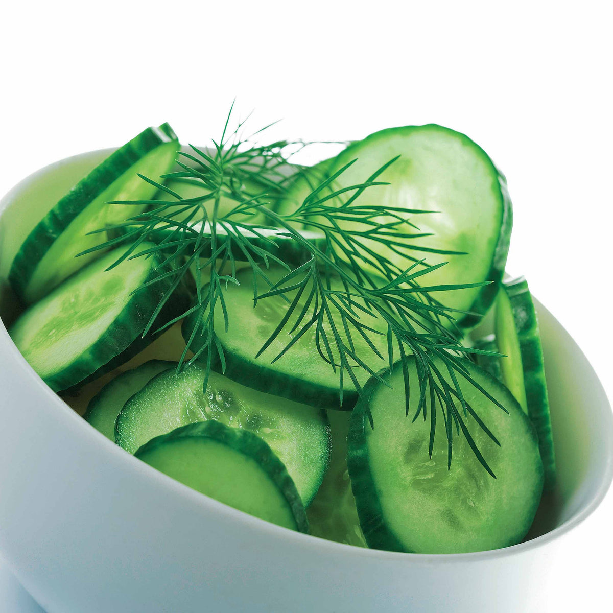 Concombre Marketer - Cucumis sativus marketer - Willemse