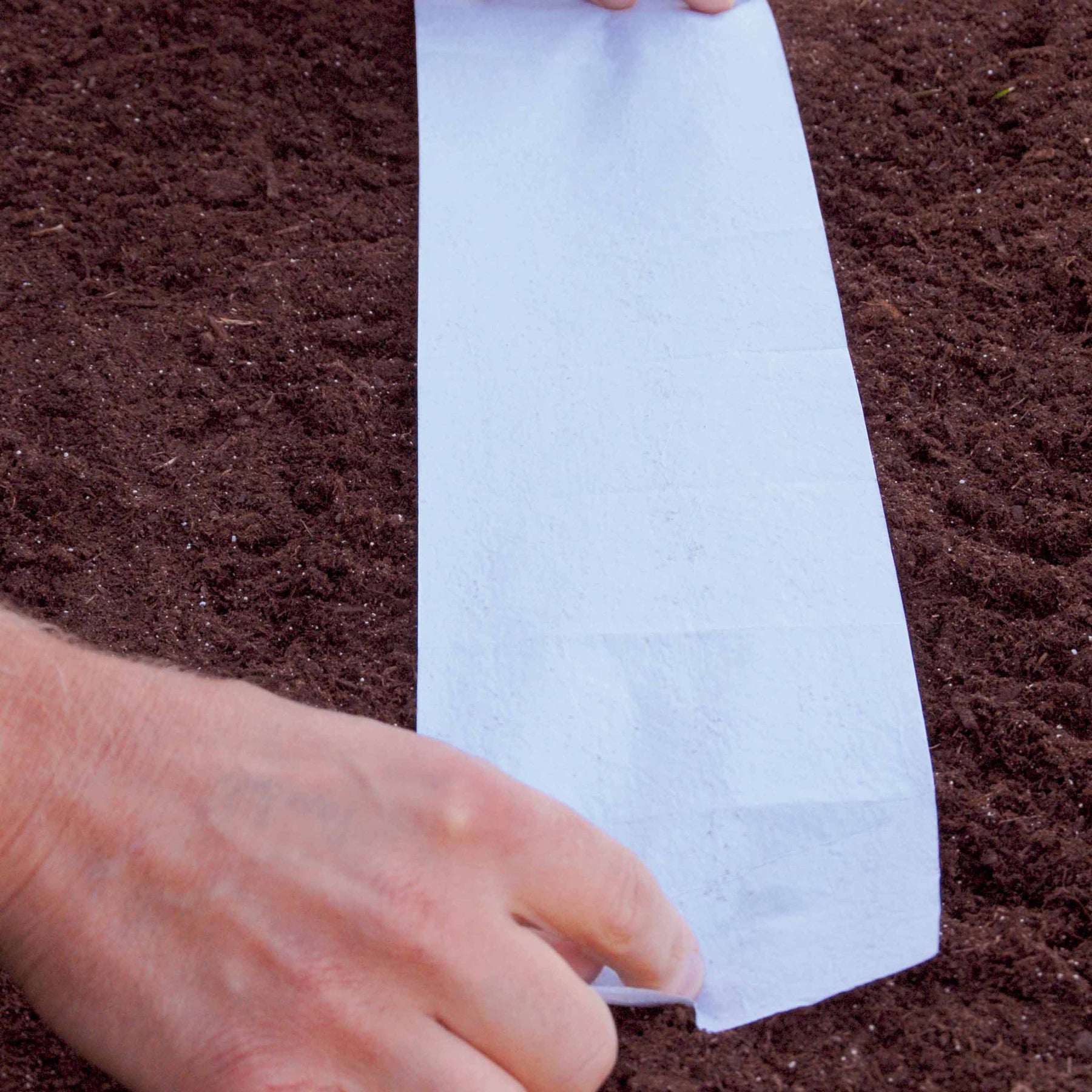 Vente 5 Tapis de graines Massif ensoleillé - Tapis de fleurs