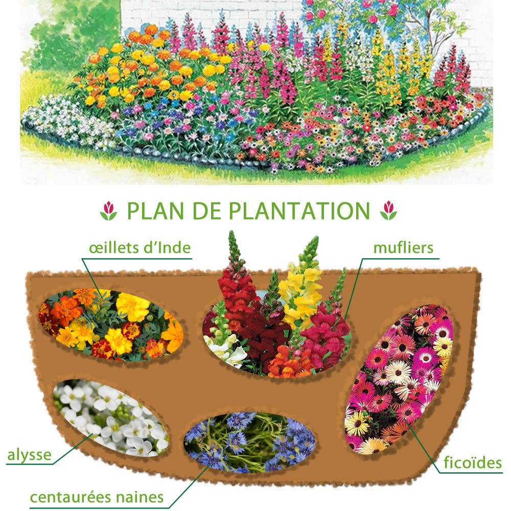 Vente 5 Tapis de graines Massif ensoleillé