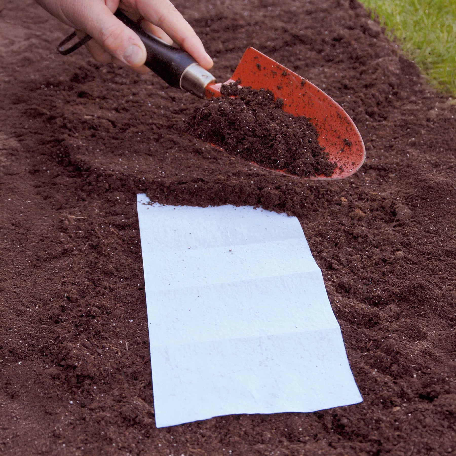 Tapis de fleurs - Tapis de graines pour bordures fleuries -