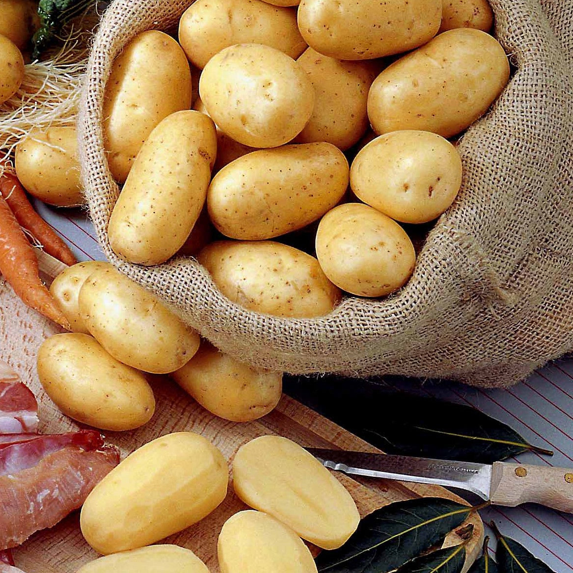 25 Pommes de terre Bernadette Bio - Willemse