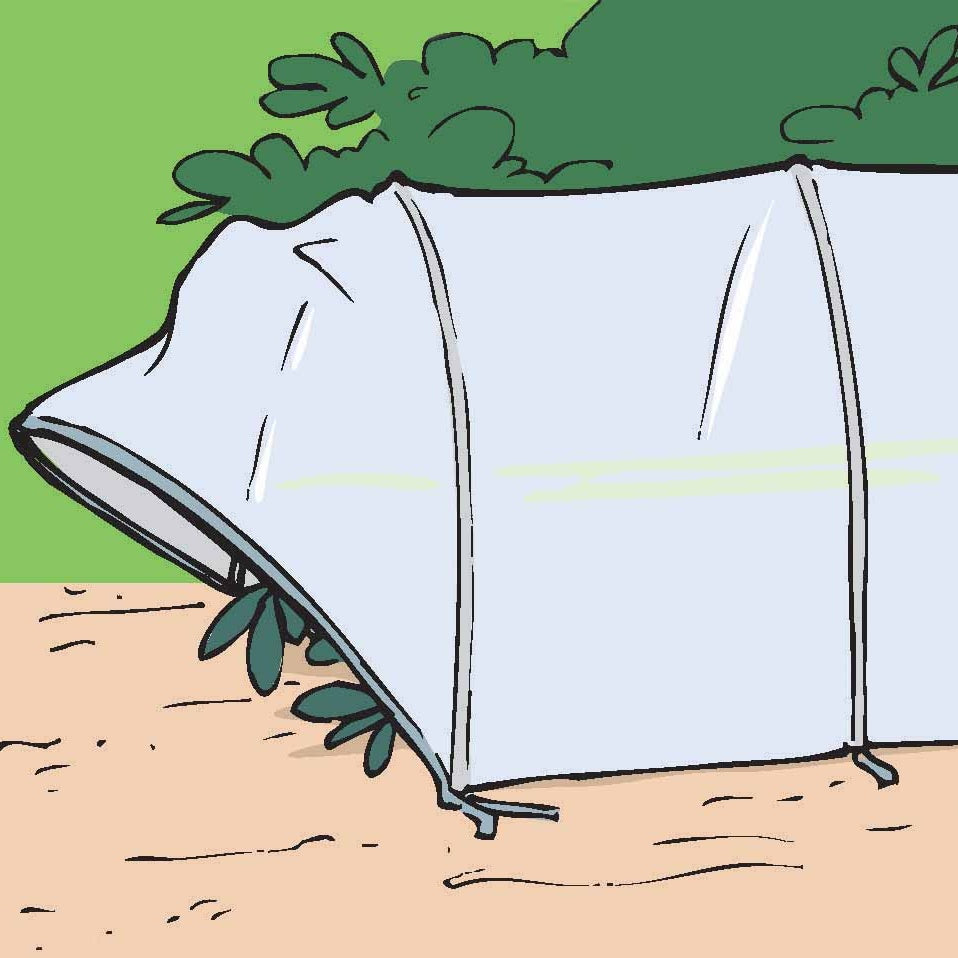 - Tunnel Accordéon pré-assemblé - Serres mini-serres et accessoires semis