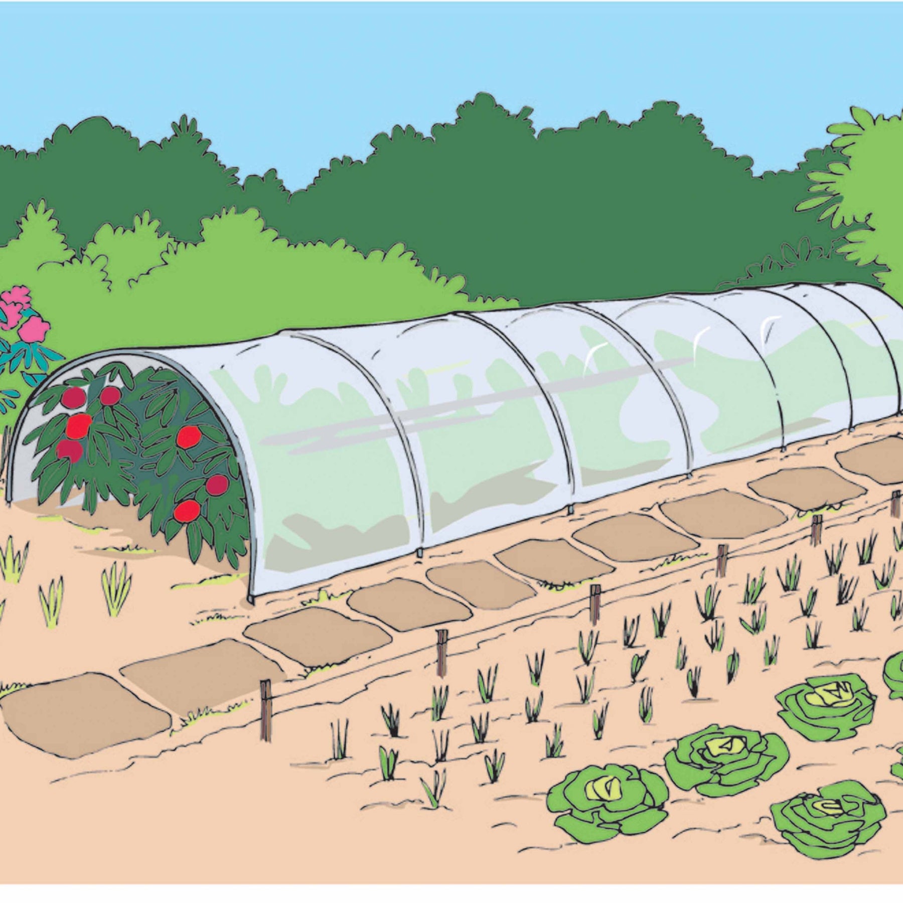 Serres mini-serres et accessoires semis - Tunnel Accordéon pré-assemblé -