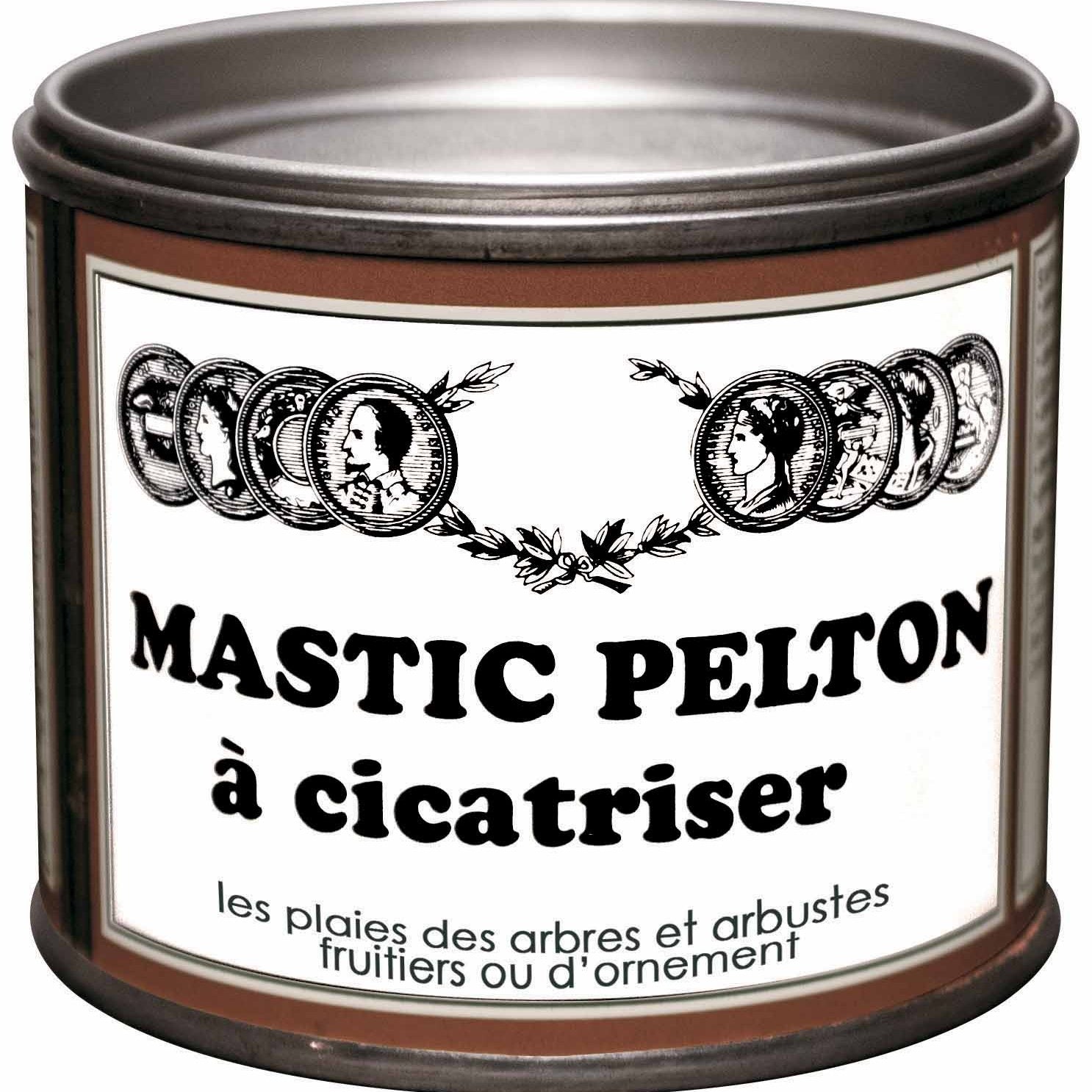 Mastic à cicatriser Pelton - Willemse