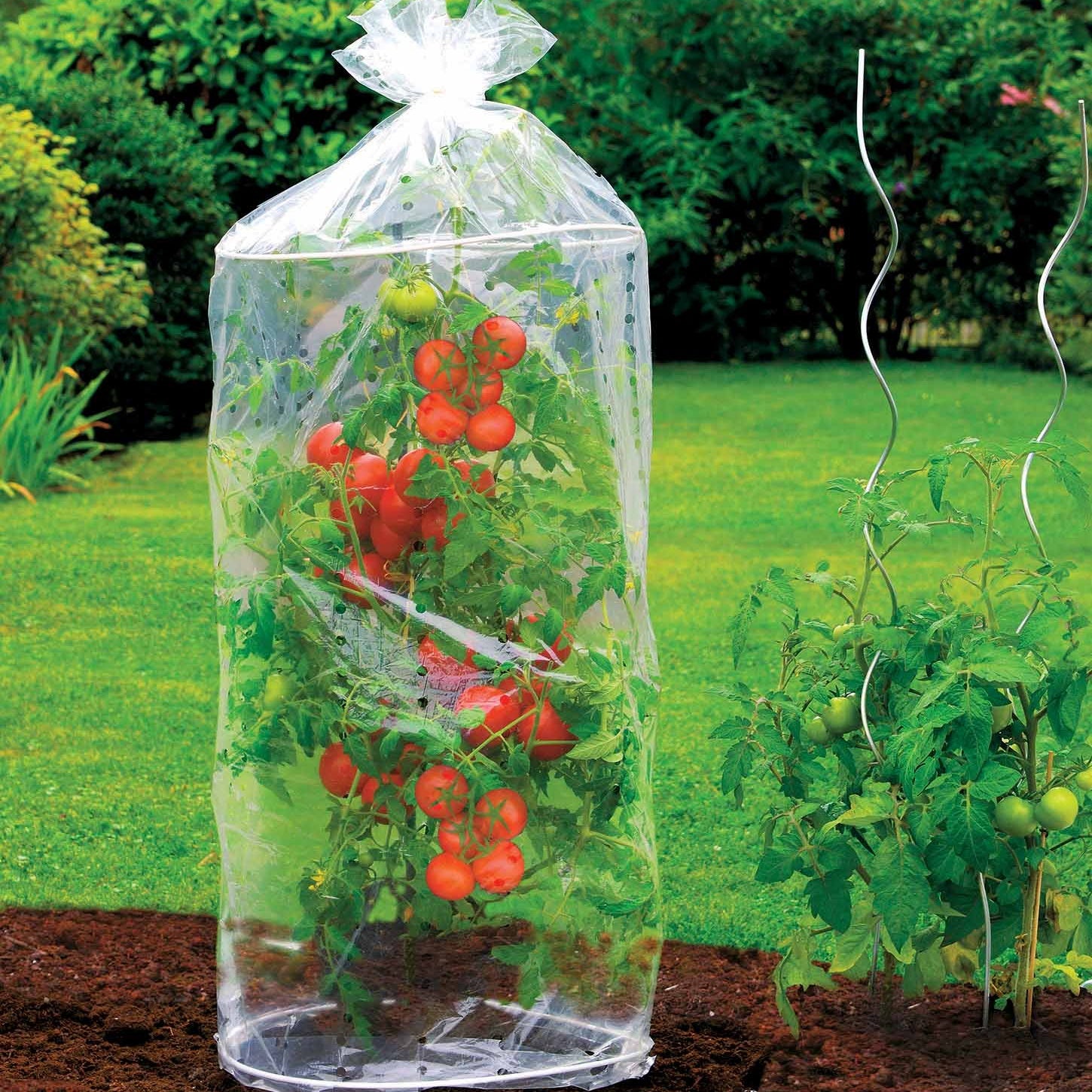 2 Housses pour tomates - Willemse