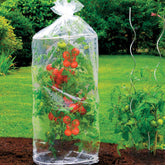 2 Housses pour tomates - Willemse