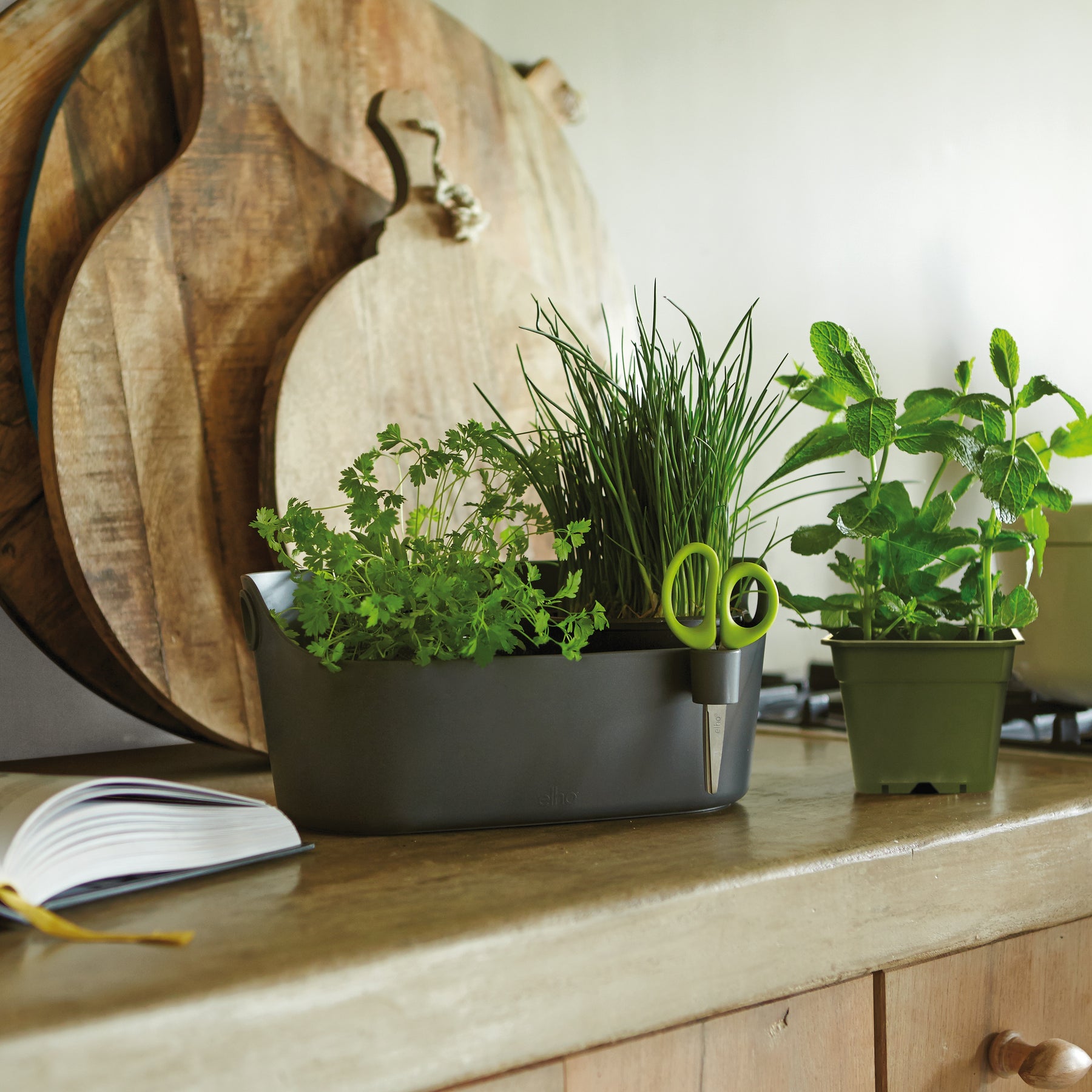 Cache-pots - Cache-pot Brussels Herbs Station anthracite ELHO -