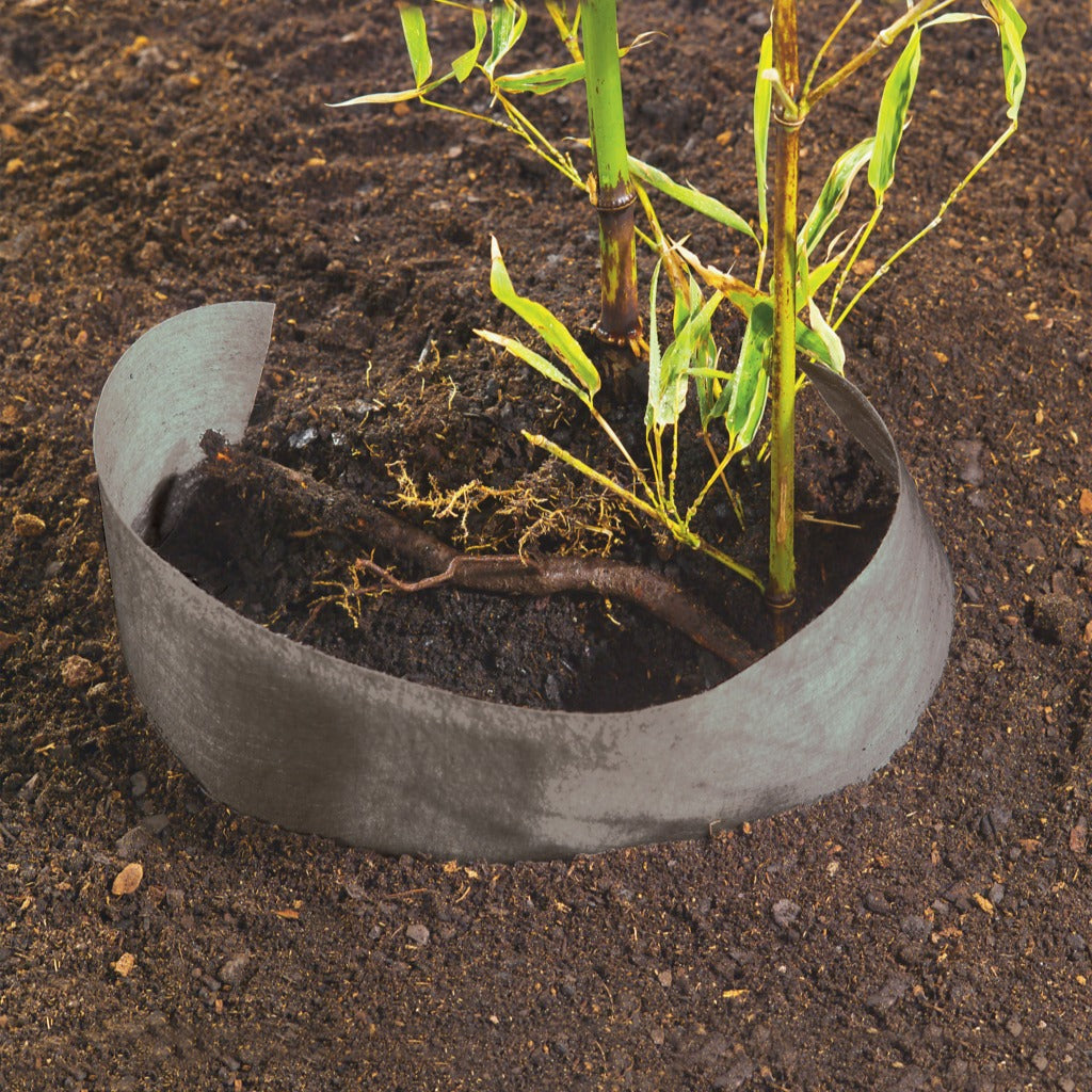 Barrière anti-rhizomes - Stop racines -  - Willemse