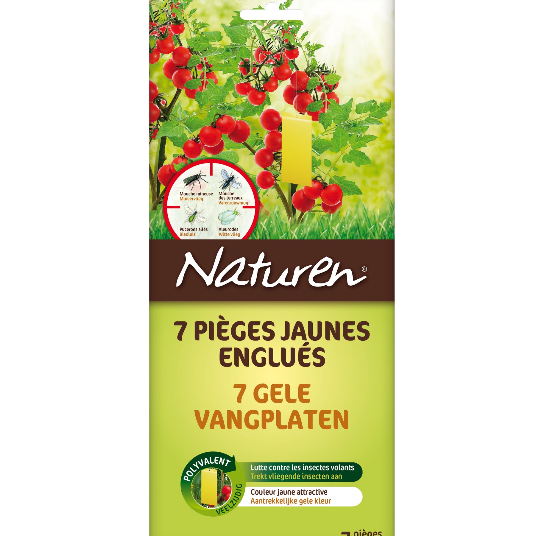 7 Pièges jaunes englués NATUREN - Willemse
