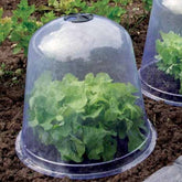 3 Cloches de forçage - Willemse