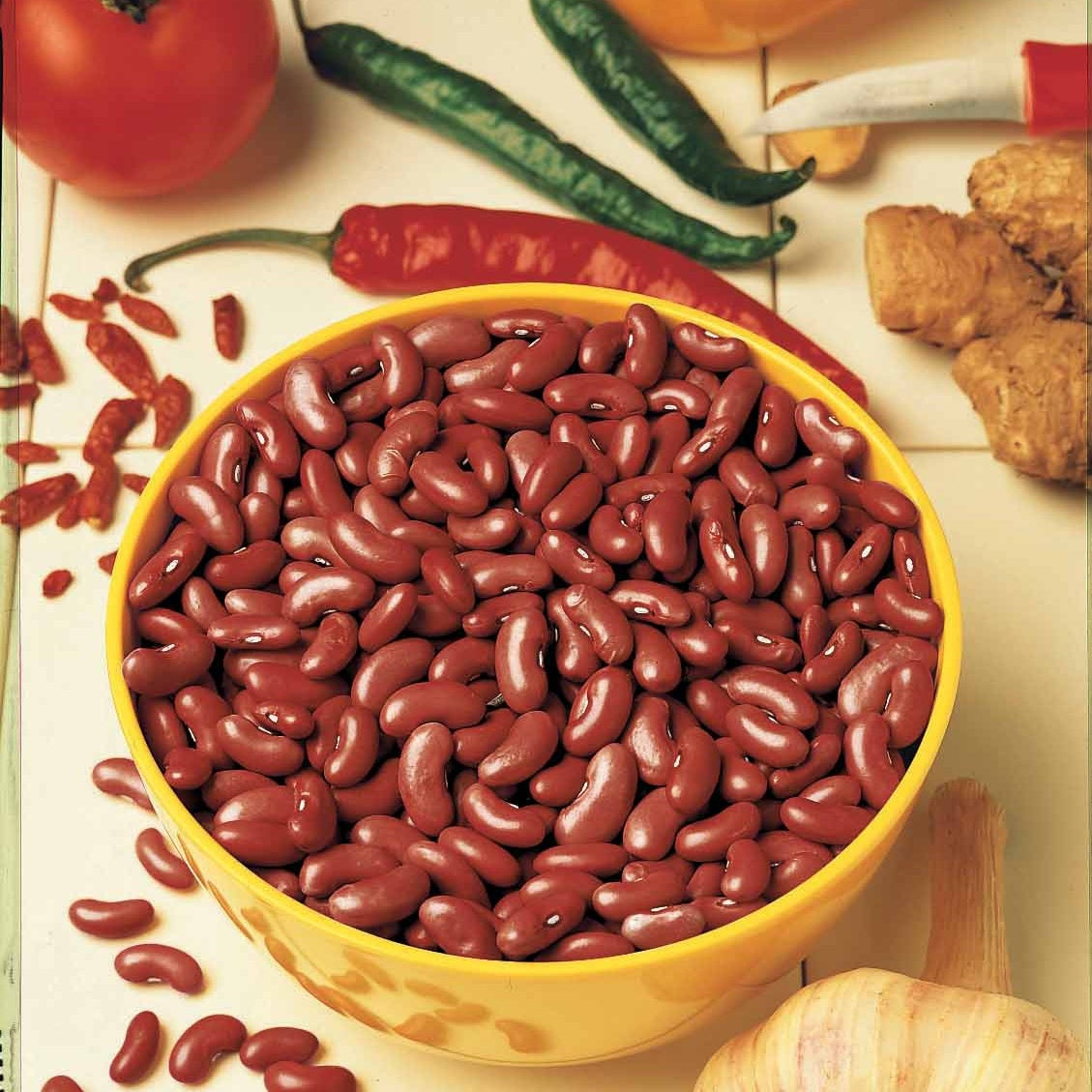 Haricot rouge Canadian Wonder - Phaseolus vulgaris rouge canadian wonder - Willemse