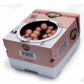 Kit champignon brun de Paris - Willemse