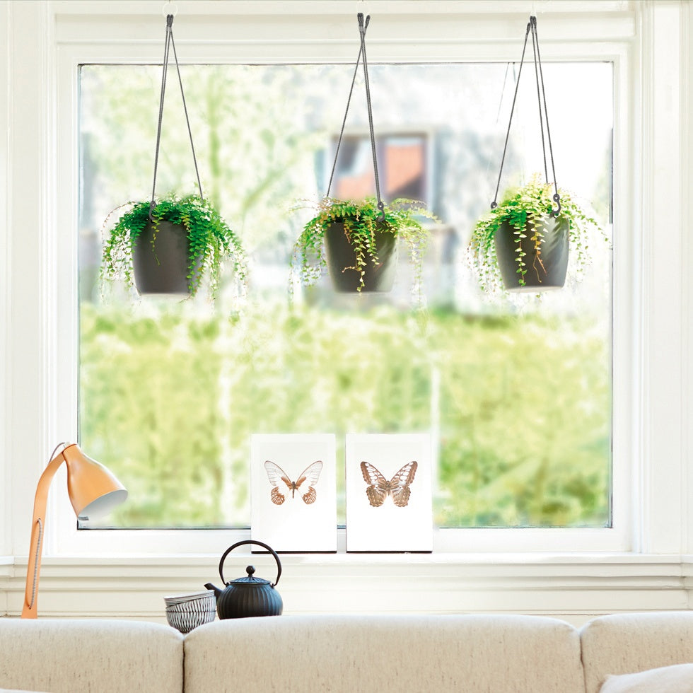 - Suspension Brussels Hanging Basket D18 blanc - Pots vases suspensions et accessoires
