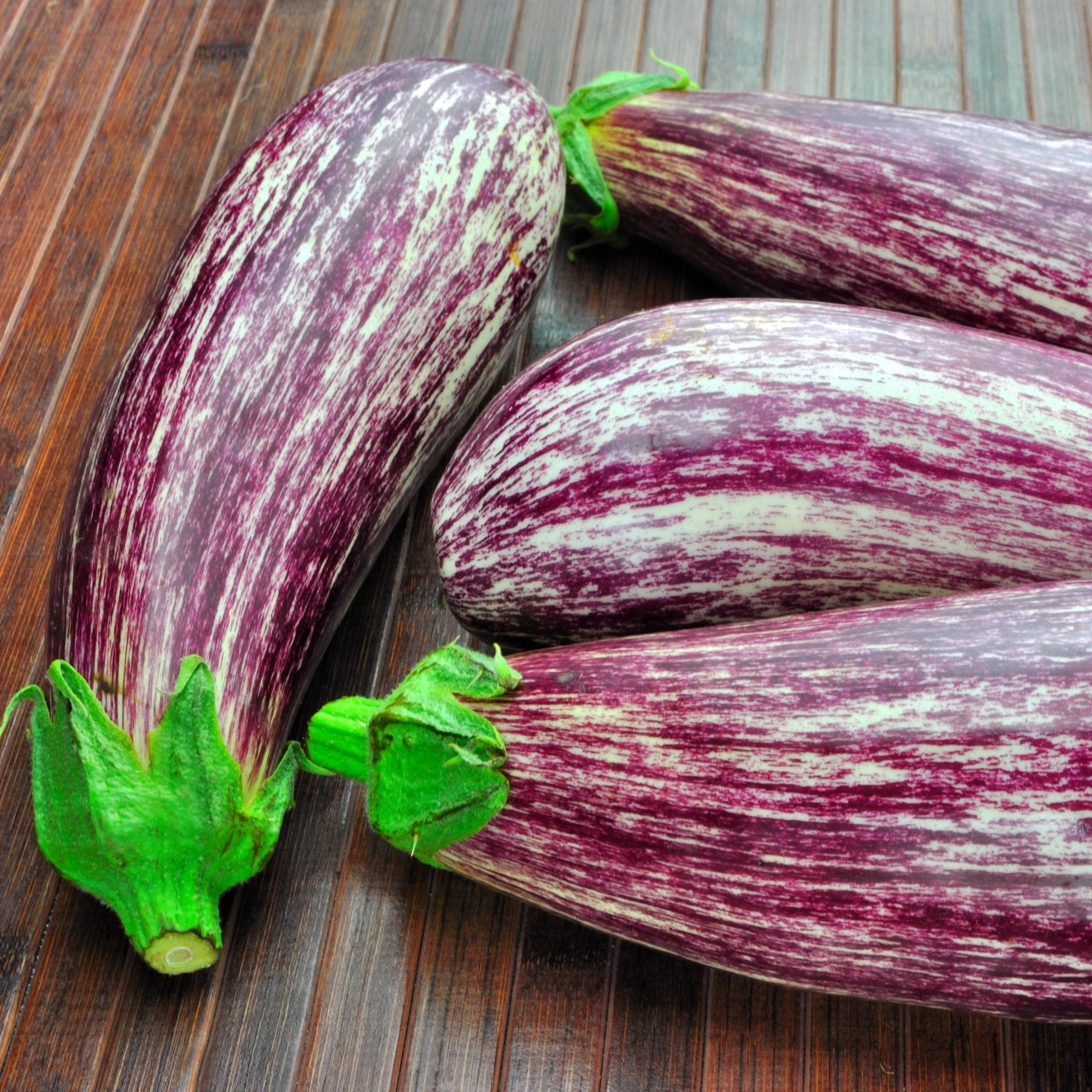Solanum melongena listada de gandia - Aubergine Listada de Gandia - Aubergines