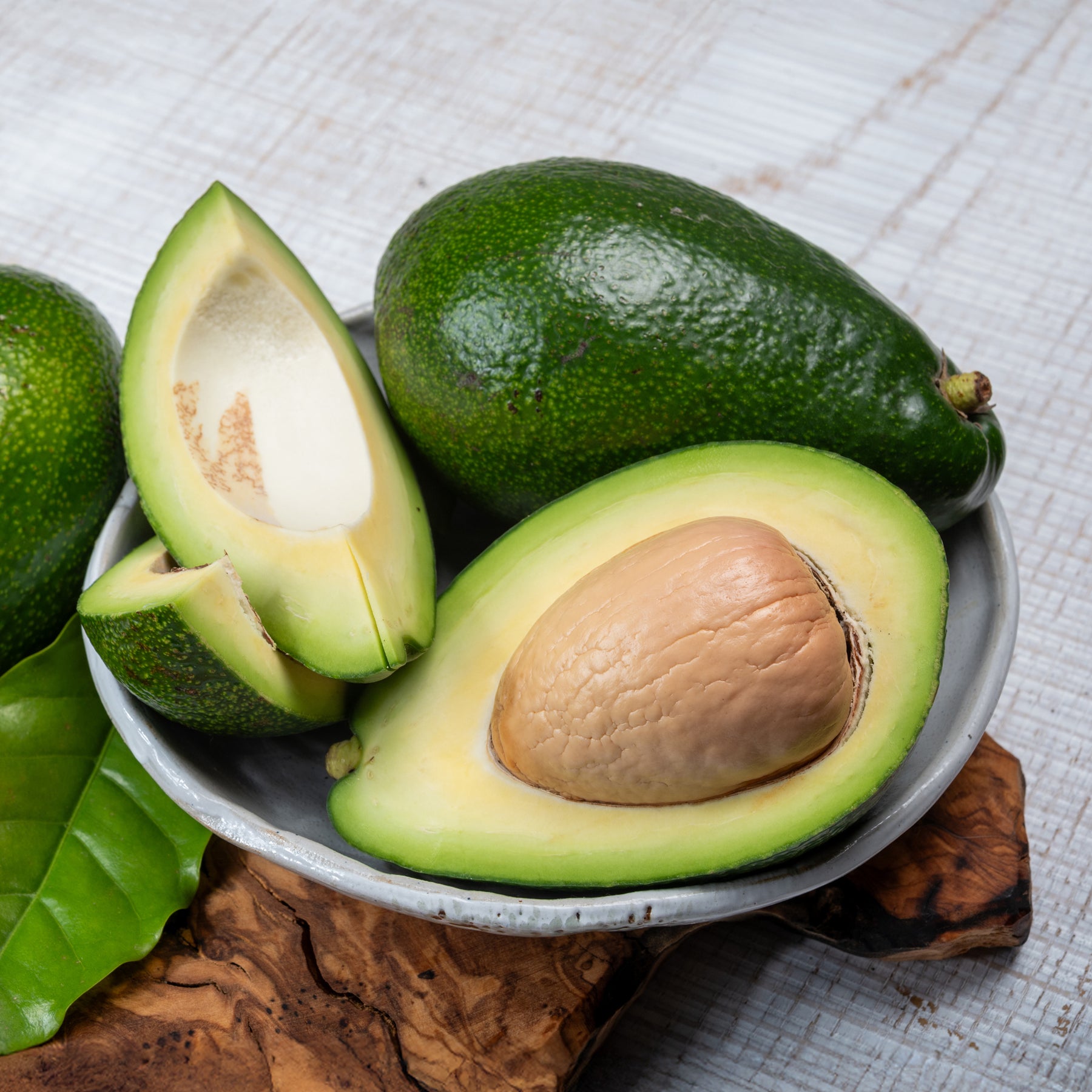 Arbres fruitiers exotiques - Avocatier Bacon - Persea americana var. Bacon (De greffe)