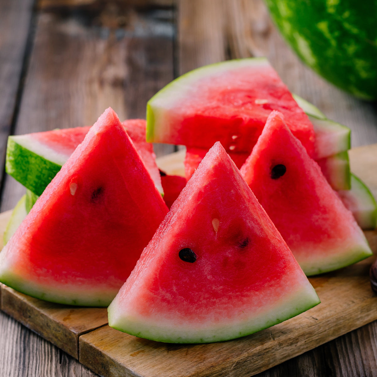 Pastèque Crimson Sweet - Citrullus lanatus Crimson Sweet - Willemse