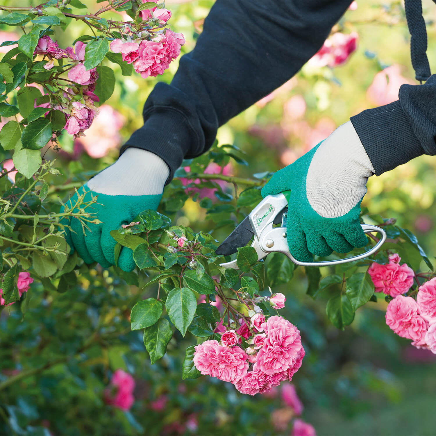 - Gant Rosier vert et gris - Equipement de protection du jardinier
