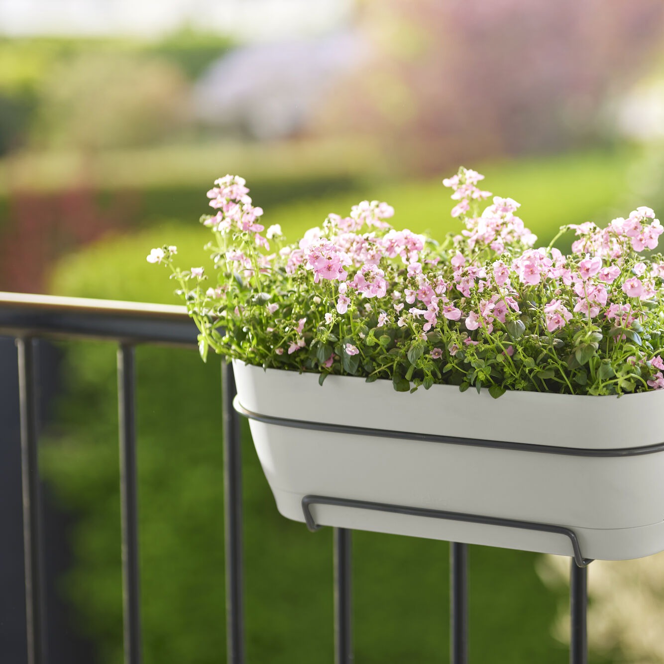 - Balconière vibia campana blanc ELHO - Jardinières et balconnières