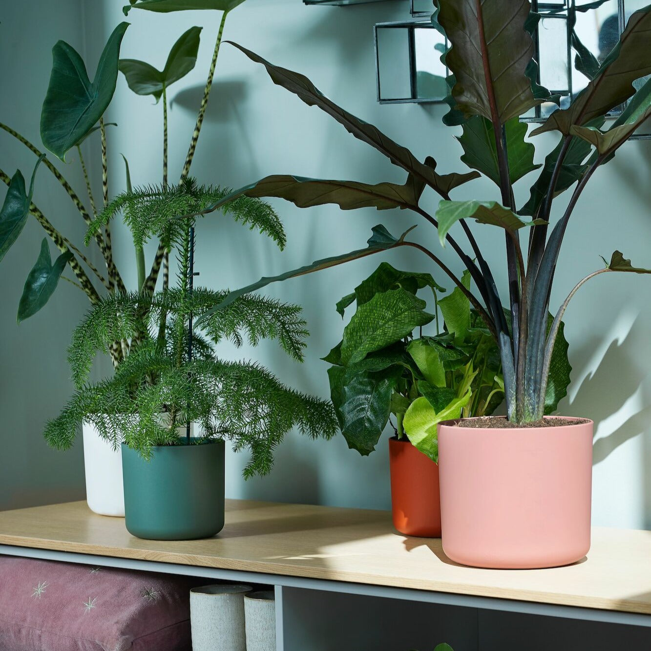 Cache-pots - Cache-pot B for soft rond rose ELHO -