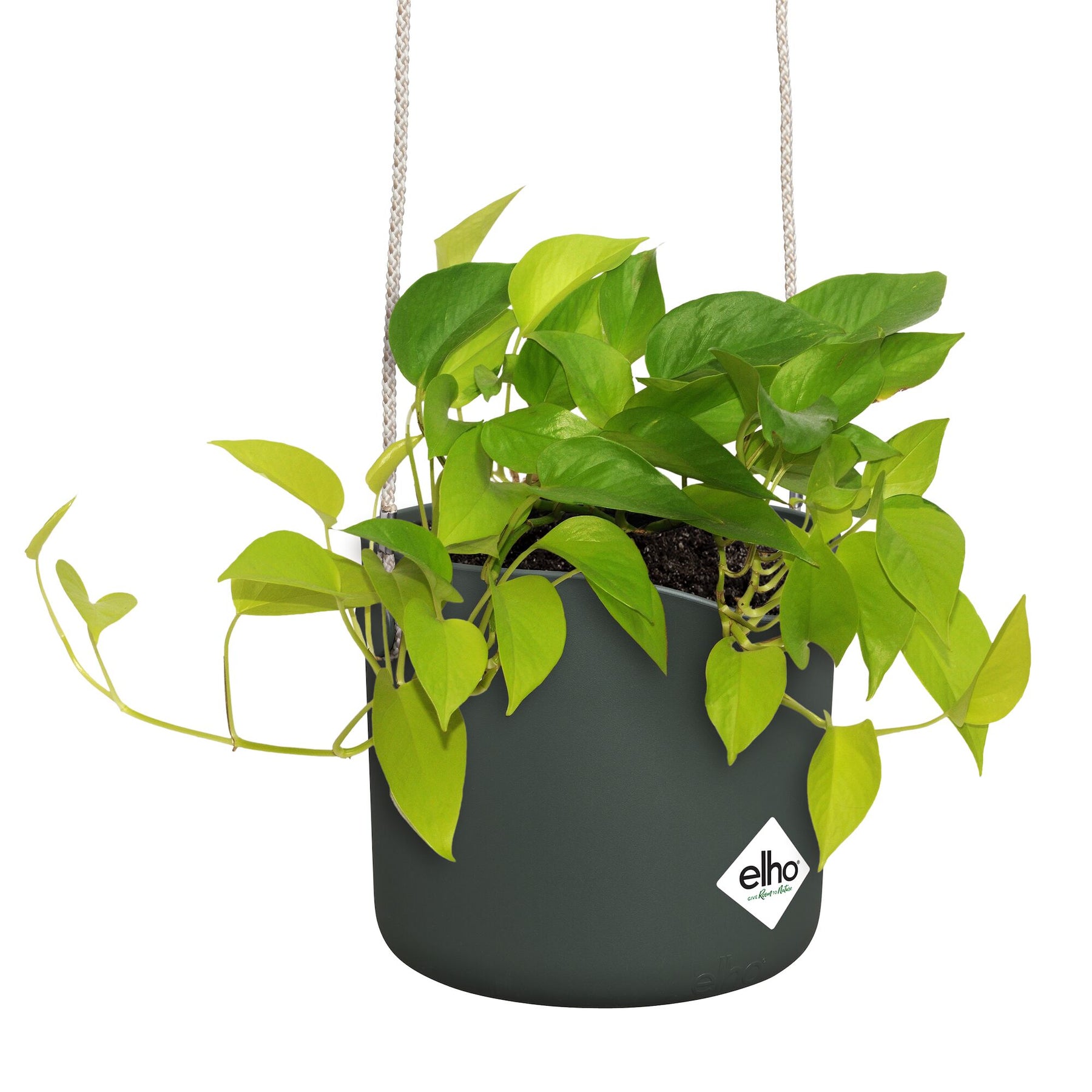 Vente Suspension B for swing vert ELHO