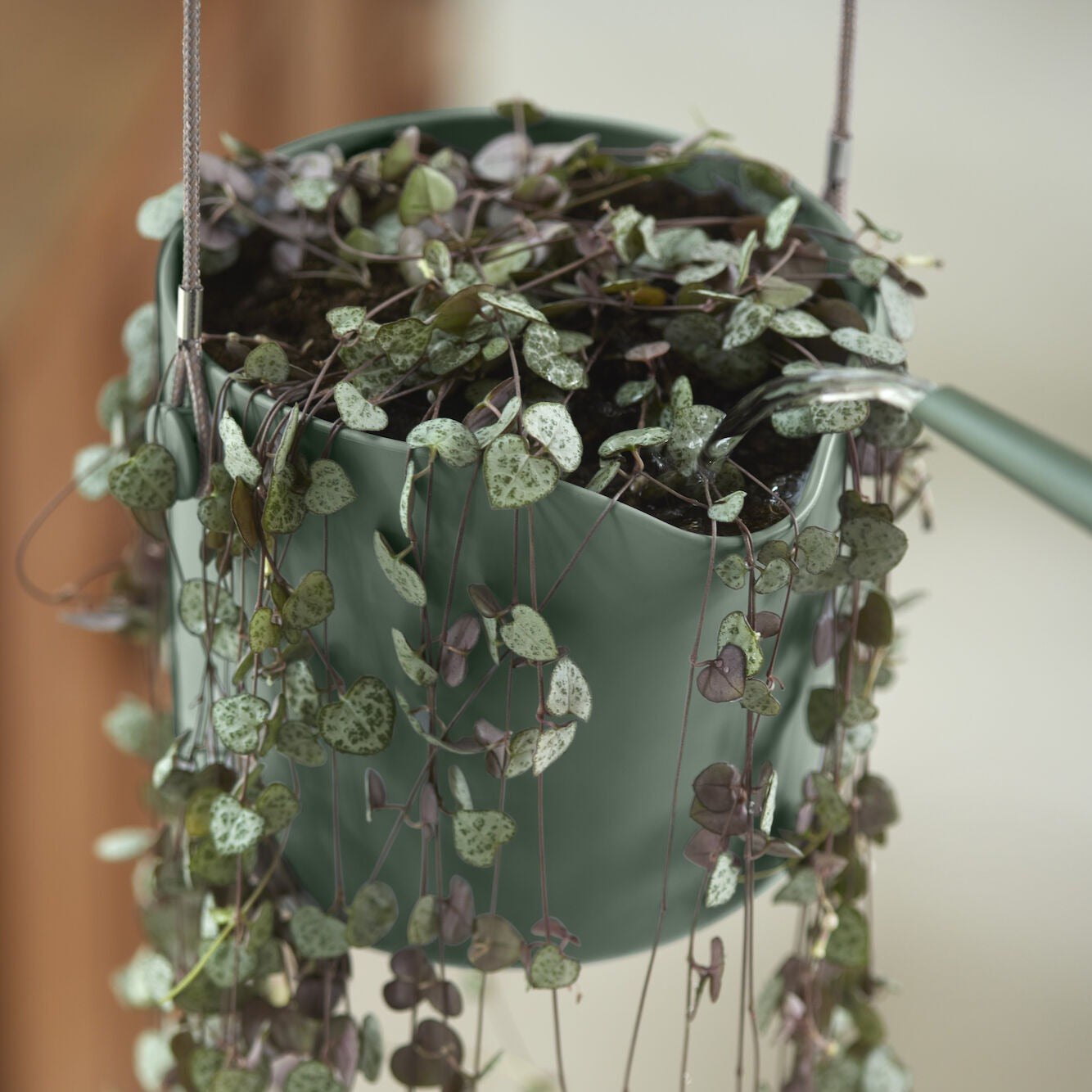 Suspension B for swing vert ELHO - Pots vases suspensions et accessoires - Willemse