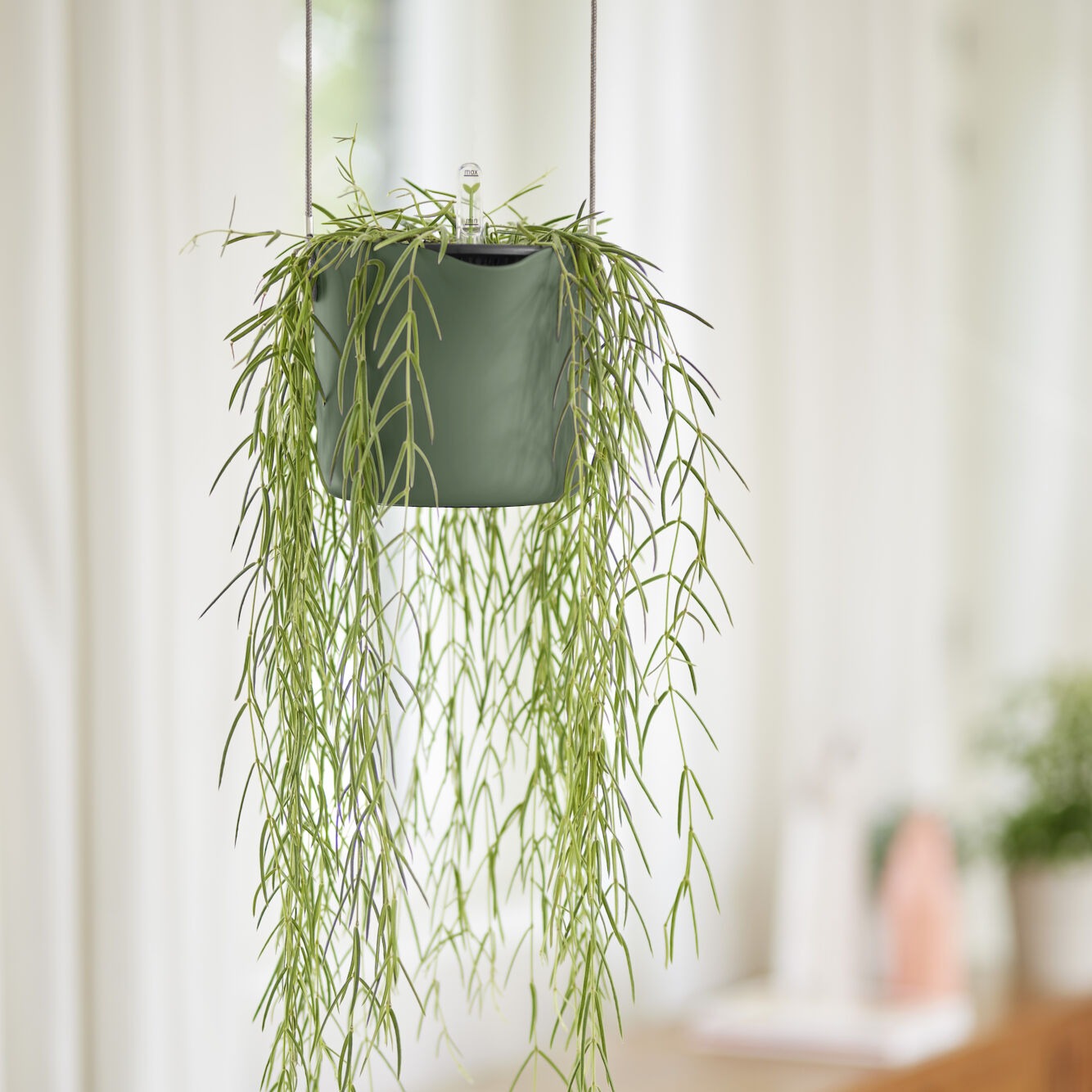 Vente Suspension B for swing vert ELHO - Pots vases suspensions et accessoires