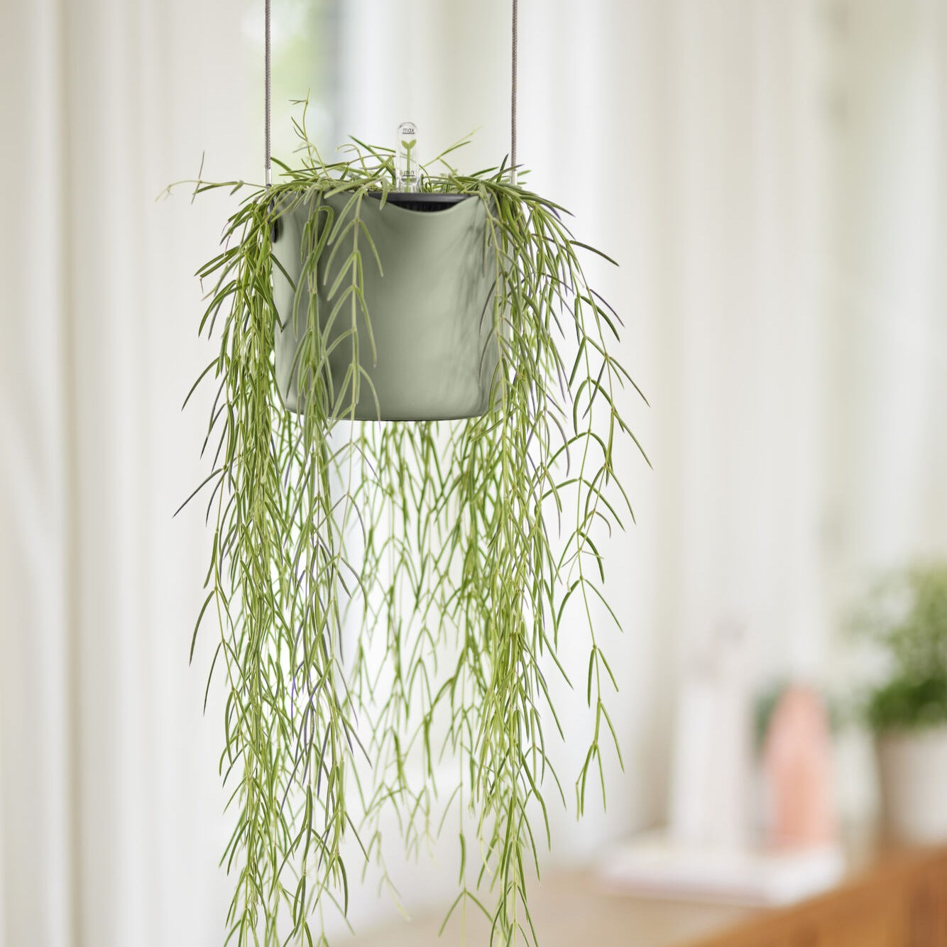Suspension B for swing vert clair ELHO - Pots vases suspensions et accessoires - Willemse