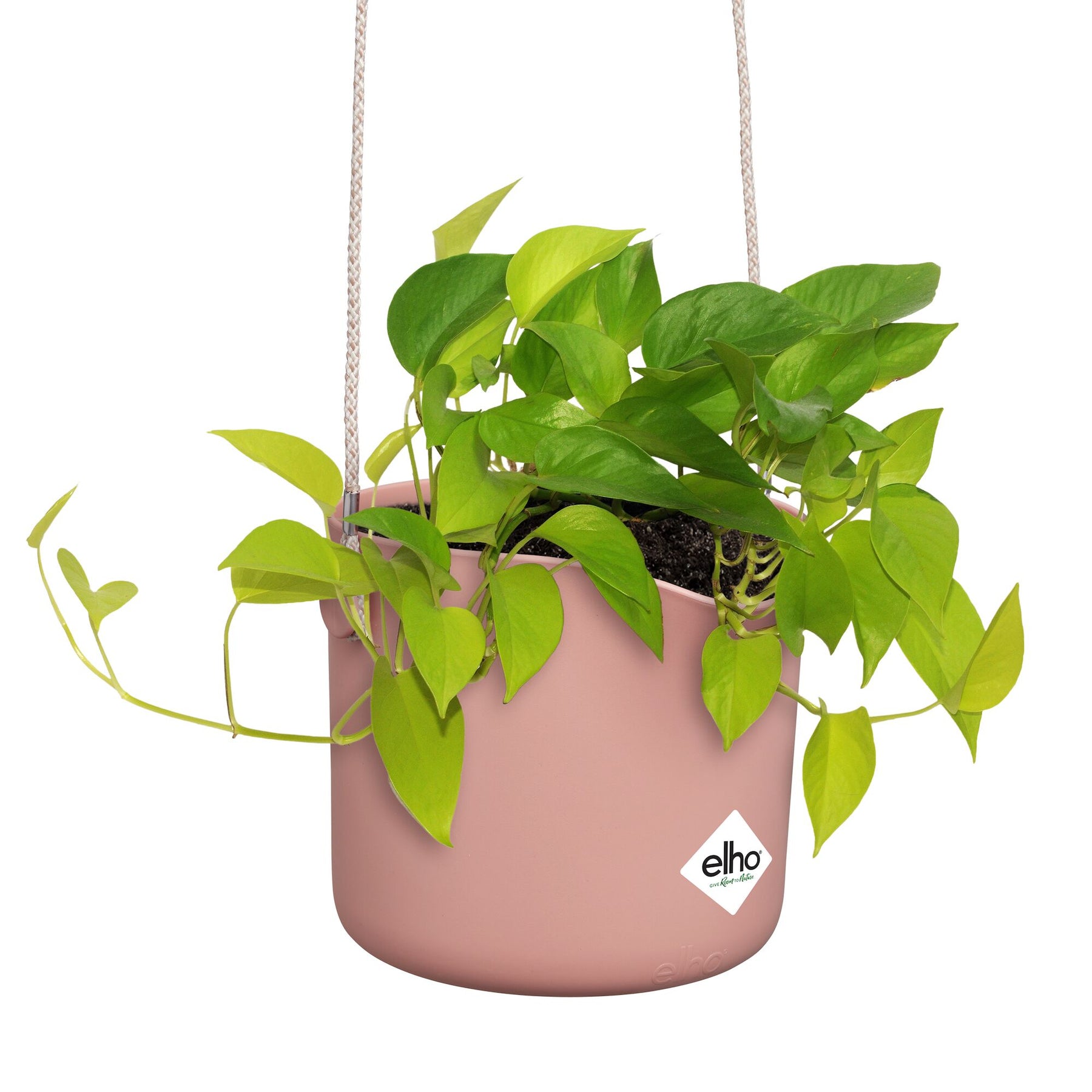 Vente Suspension B for swing rose ELHO -