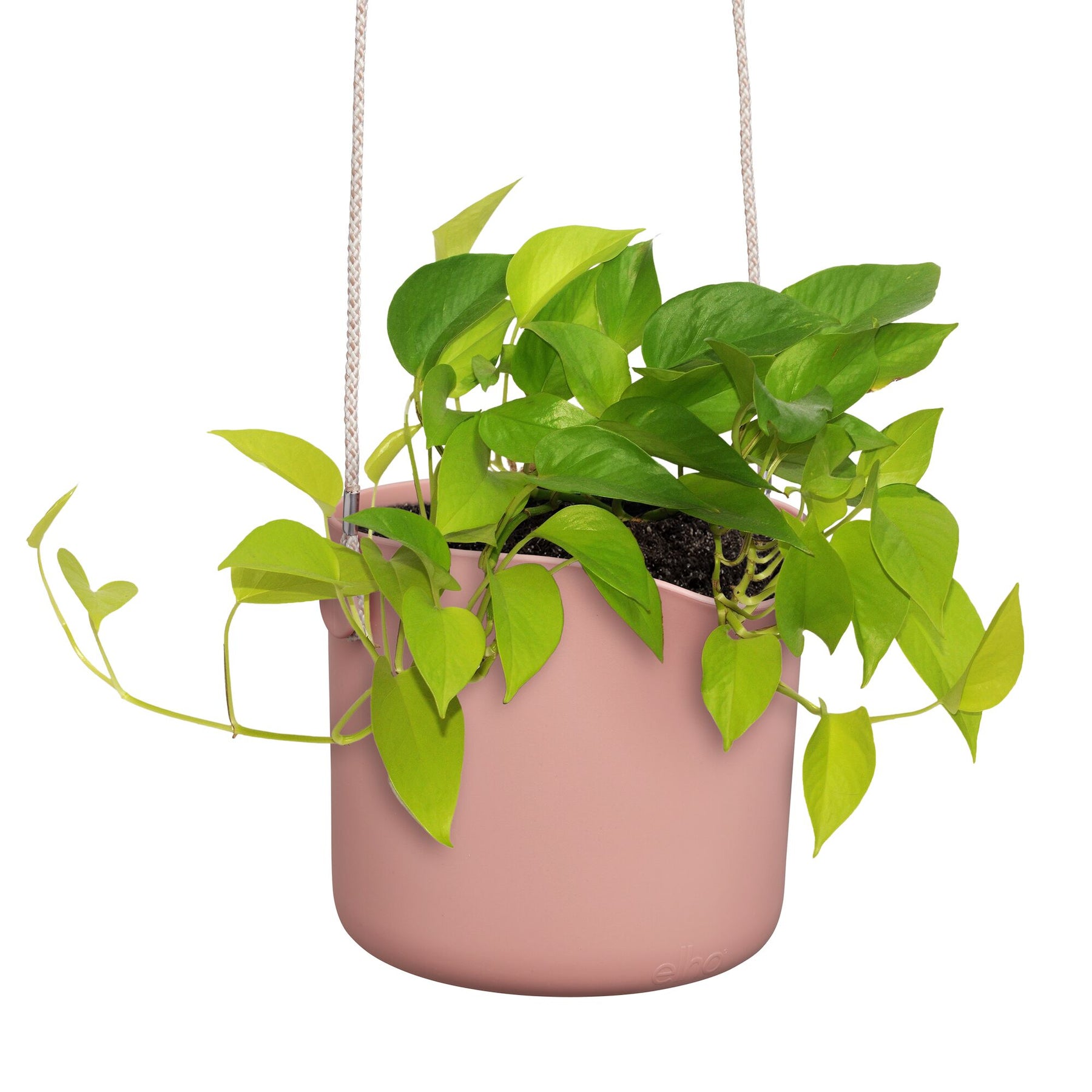 Vente Suspension B for swing rose ELHO