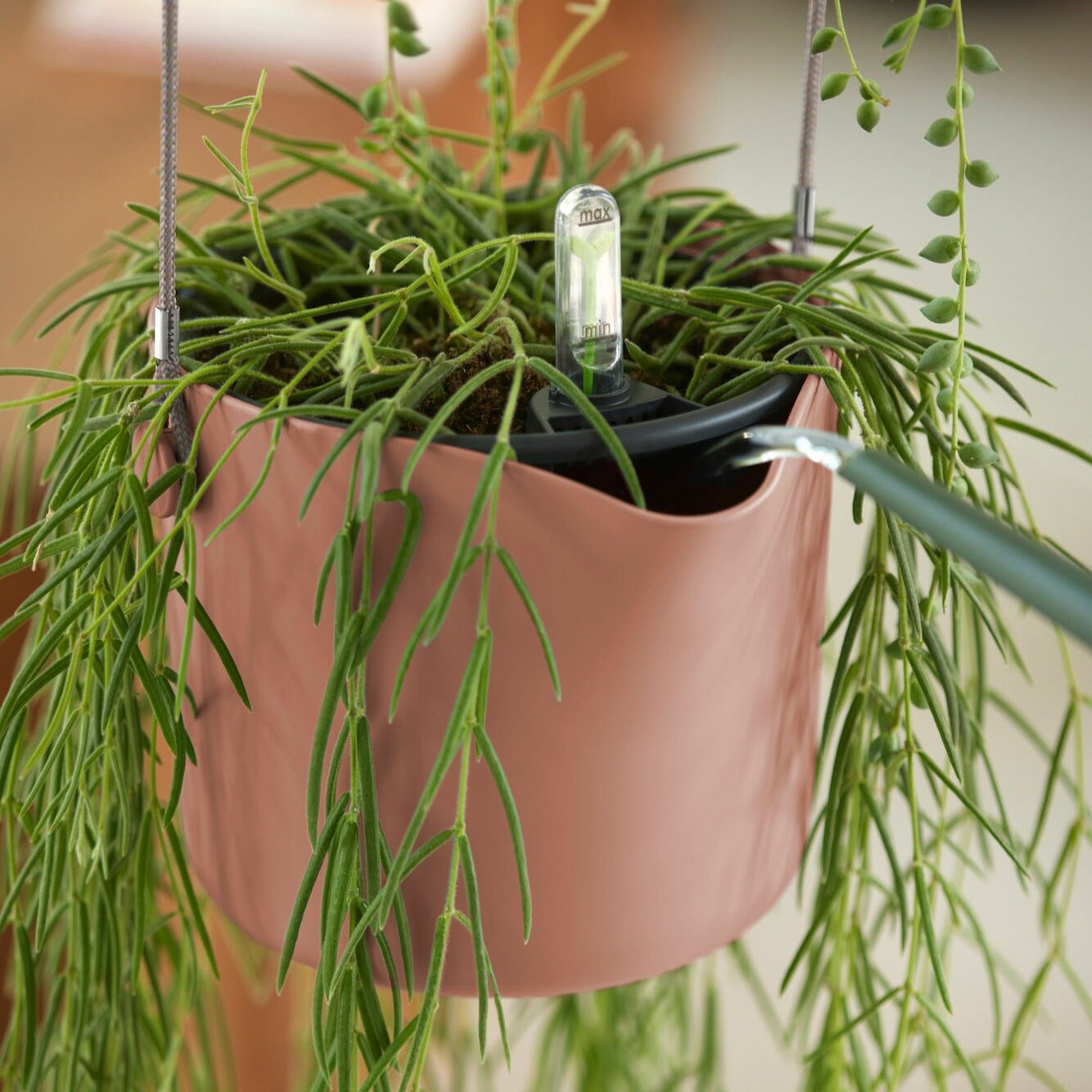 Suspension B for swing rose ELHO - Pots vases suspensions et accessoires - Willemse