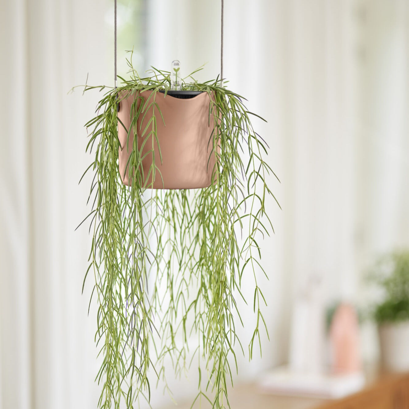 Vente Suspension B for swing rose ELHO - Pots vases suspensions et accessoires
