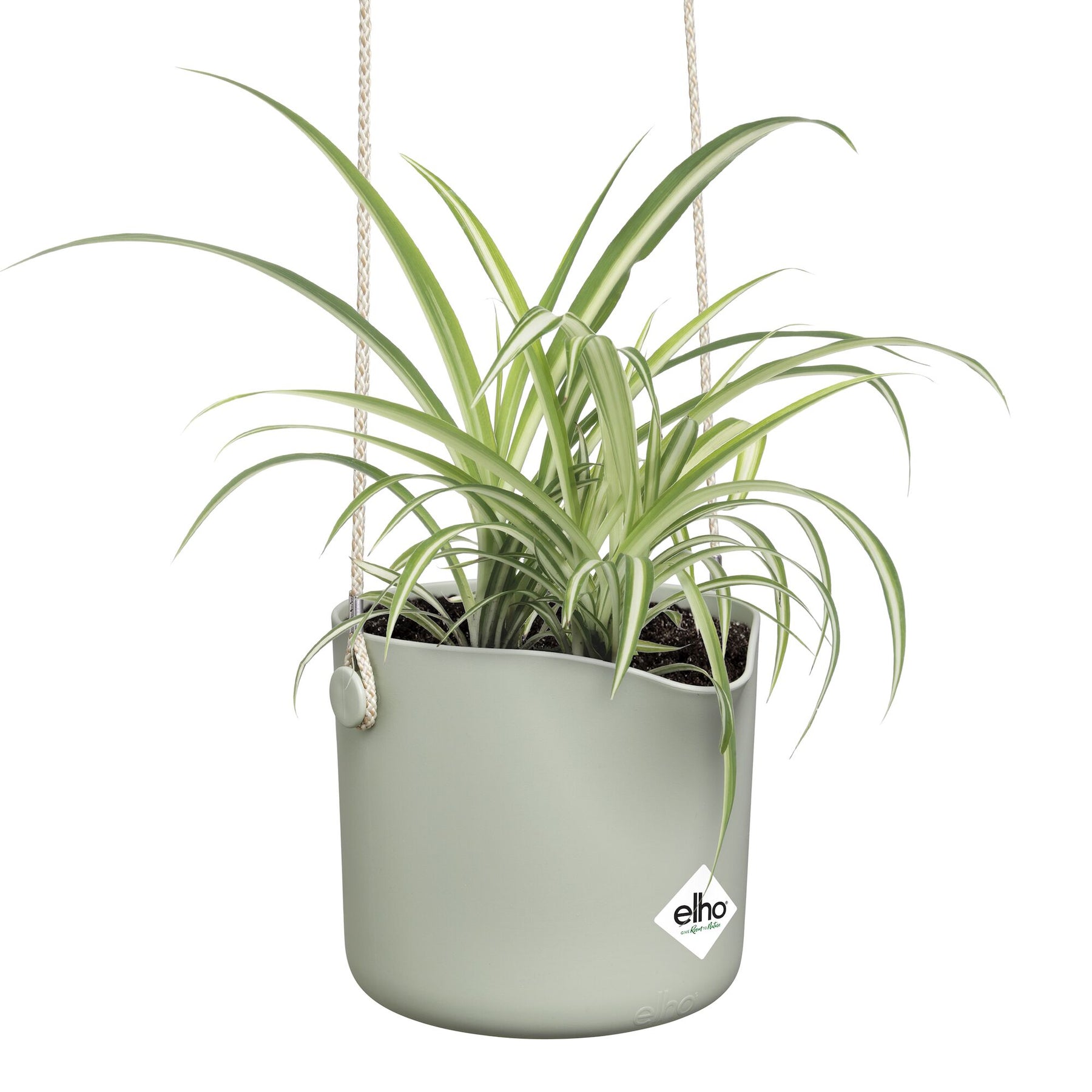 Vente Suspension B for swing blanc ELHO -